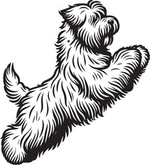 Briard Dog vector in black and white 