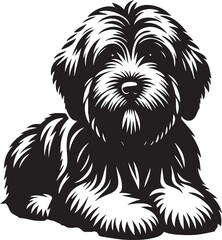 Briard Dog vector in black and white 