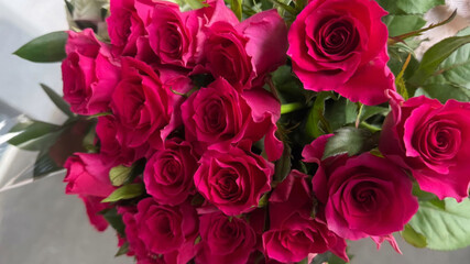 Vibrant crimson roses cluster in fragrant elegance, symbolizing love's passion; perfect for Neo-Pagan Beltane or National Rose Month celebrations