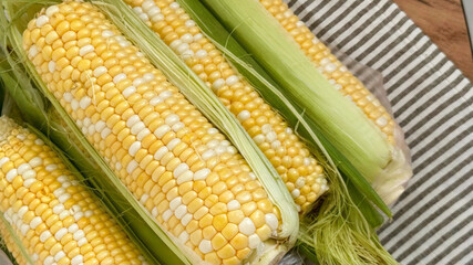 Golden bicolor cornucopia, vibrant kernels glisten, symbolizing bountiful harvest, native celebrations, and Maize Day festivities, rustic abundance