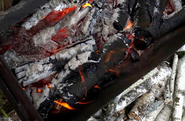 Crimson embers dance amid charred wood, evoking Yule traditions and the solstice's warmth in a ritualistic bonfire embrace