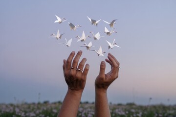 Hands releasing white origami birds into sky at dusk with soft light and pastel background, symbolizing freedom, hope, and creative expression. Ai generative