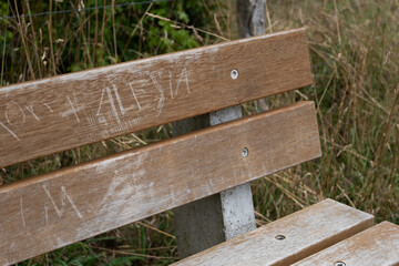 Fototapeta premium a bench in the park with the name Alessia carved on it
