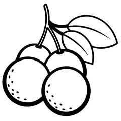 Longan  line art vector