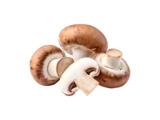 One mushroom with slices, showcasing its natural form and texture
