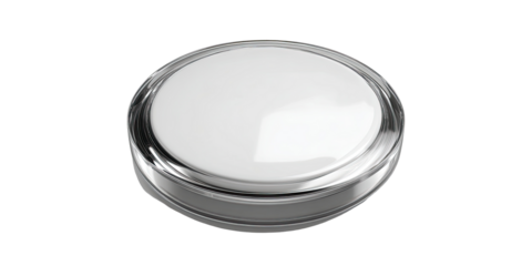 Round, glossy, metallic button.  Smooth, white center, ringed in silver