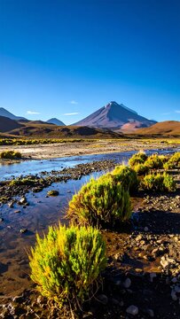 Mountain stream landscape, vibrant colors