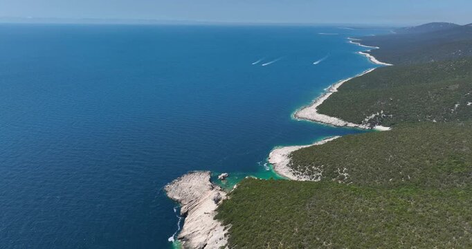 Forestland And Rocky Shores On Dugi Otok In Croatia. Aerial Drone Shot