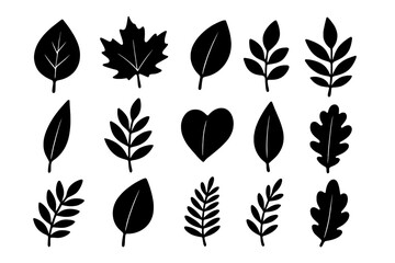 Leaf silhouette icon set. Collection of nature & botanical elements in black. Simple plant, tree, & foliage shapes. Vector illustration of various leaves like maple & oak.