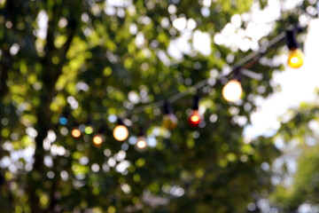 lichterkette im baum, unscharf als hintergrund