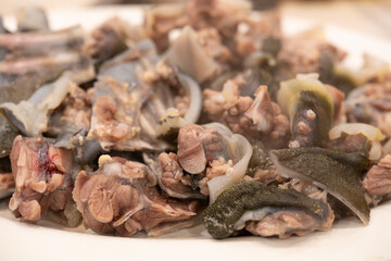 angle view soft-shelled turtle pieces