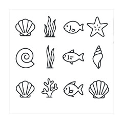 A set of minimalist black and white ocean-themed icons featuring shells, fish, and seaweed