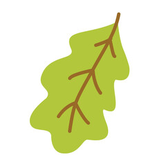 flat simple oak leaf vector clipart green yellow autumn isolated on transparent background