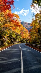 A winding road through a vibrant autumnal forest, showcasing brilliant fall foliage and a clear blue sky.