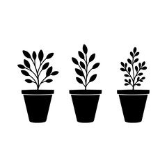 Fototapeta premium Black Three Flower pot silhouette icon vector flat illustration on white background.