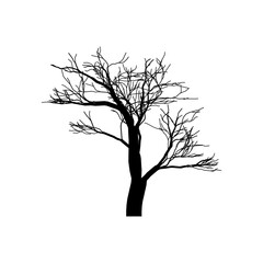 Tree Shapes without Leaves  Leafless Trees Illustration  Dead Tree Vector