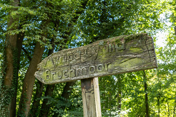 Altes Holzschild im Wald