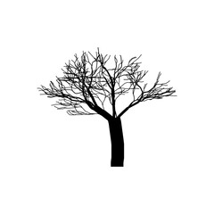 Obraz premium Tree Shapes without Leaves Leafless Trees Illustration Dead Tree Vector