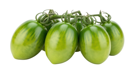 Isolated green tomatoes on the vine