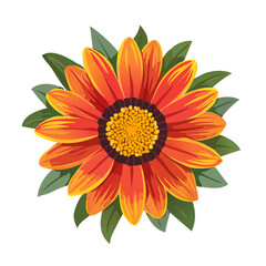 Bright orange gazania flower with green leaves on black background. Isolated graphic illustration of a blooming floral botanical plant.