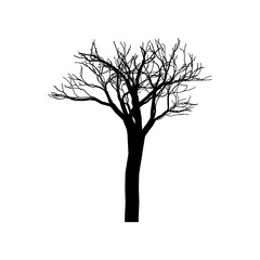Obraz premium Tree Shapes without Leaves Leafless Trees Illustration Dead Tree Vector