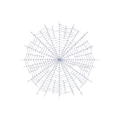 Obraz premium Spiderweb Silhouette Isolated on Black Background Geometric Web Texture Cobweb Pattern Halloween Spooky Horror Design Element