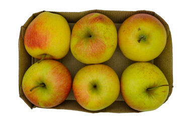 Tray of Six Apples in a Cardboard Container. Isolated. Top View.