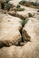 Eroded Earth Showing Large Crevices and Vegetation in a Dry Landscap
