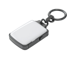 Small, rectangular, white key chain, metallic casing