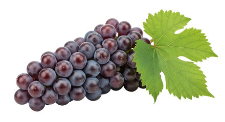Isolated Bunch of Grapes