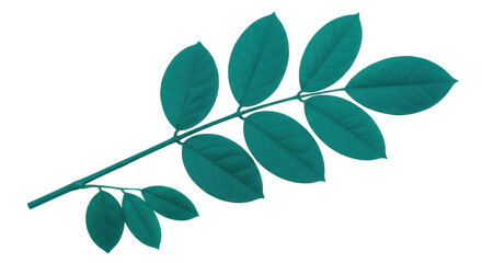 Isolated Green Branch with Leaves