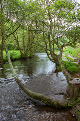 The River Dove, a popular trout fishing stream and hiking area: Peak District, Derbyshire, England