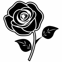 rose vector illustration