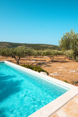 Swimming pool garden and olive trees of typical summer villa on the island of Brac in Croatia