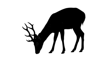 Deer Silhouette Vector &ndash; Grazing Wild Animal with Antlers on White Background