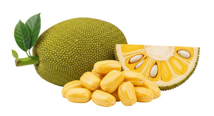 Isolated Jackfruit