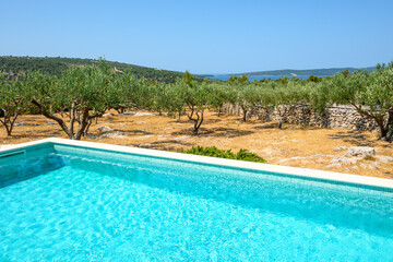 Garden swimming pool garden of typical summer villa on the island of Brac in Croatia