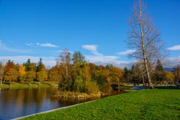 autumn landscape park lake