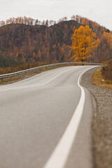 Autumn in the mountains. Altai Mountains