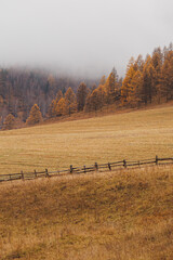 foggy autumn morning in the Altai mountains