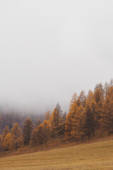 foggy autumn morning in the Altai mountains