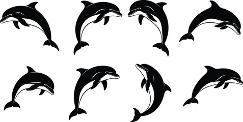 Obraz premium Dolphin silhouette set, black vector dolphins, swimming poses, leaping and diving dolphins, marine animal illustration, ocean wildlife, isolated on white