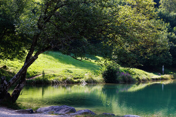 Hiking near Welsperg lake - Italy