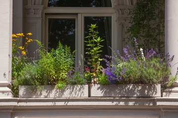 Blumenkästen auf dem Balkon eines Altbaus, Bremen, Deutschland