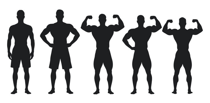Silhouettes of muscular men posing and flexing biceps showcasing athletic physique vector