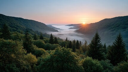 Obraz premium Tranquil mountain valley landscape at sunrise with forest and mist.