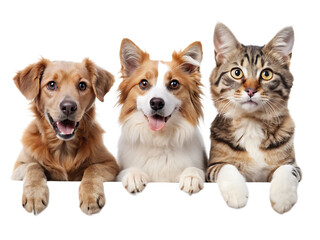 The banner ad features dogs and cat isolated on white background ,PNG.AI Generated.