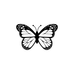 Butterfly On White Background Vector