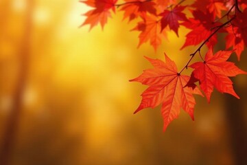 Soft focus red & yellow maple leaves, bokeh background Autumn sale banner , sale, festive, blurred