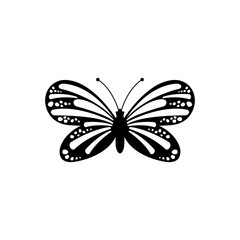 Butterfly On White Background Vector